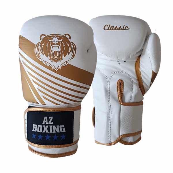 gants de boxe qualité