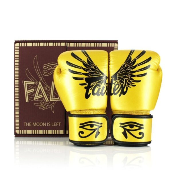 Gants de boxe Fairtex falcon