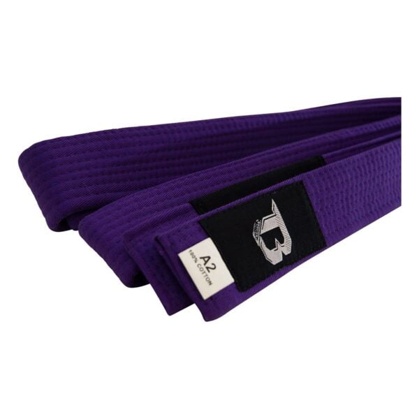 Ceinture JJB – Image 3