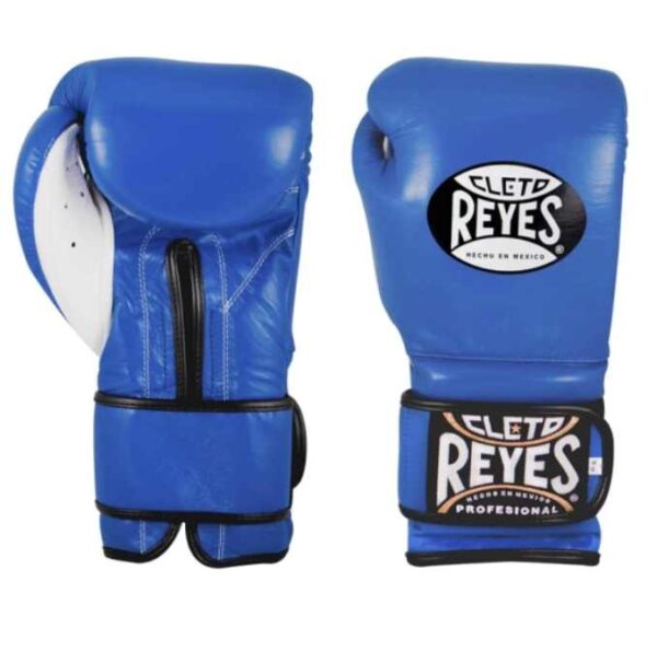 reyes redesign bleu