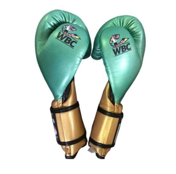 gants reyes wbc