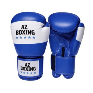 gants de boxe pour initiation ou débutant, couleur bleu