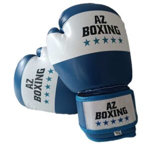 gants de boxe starter