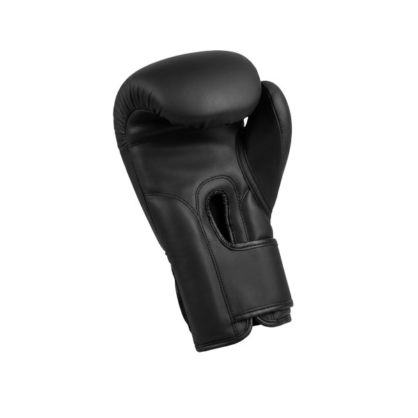 gants de boxe entrainement